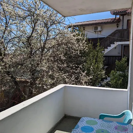 Guest house цвета