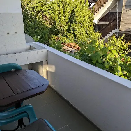 цвета 3* Sinemoretz