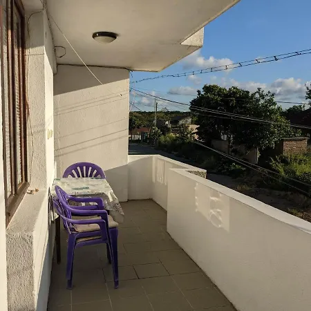 招待所 цвета 3*