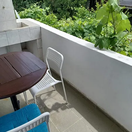 ゲストハウス цвета シネモレツ