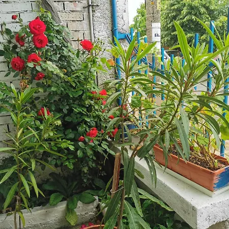 цвета ゲストハウス 3*