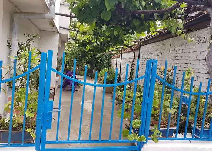 цвета Πανσιόν Sinemoretz