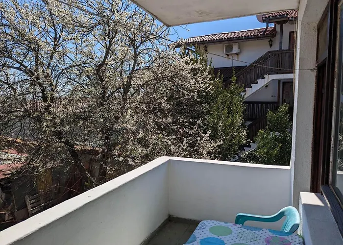 Πανσιόν цвета