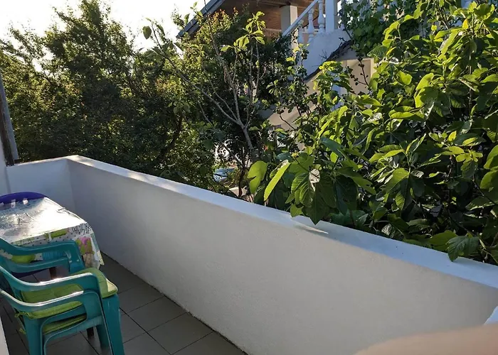 цвета Πανσιόν