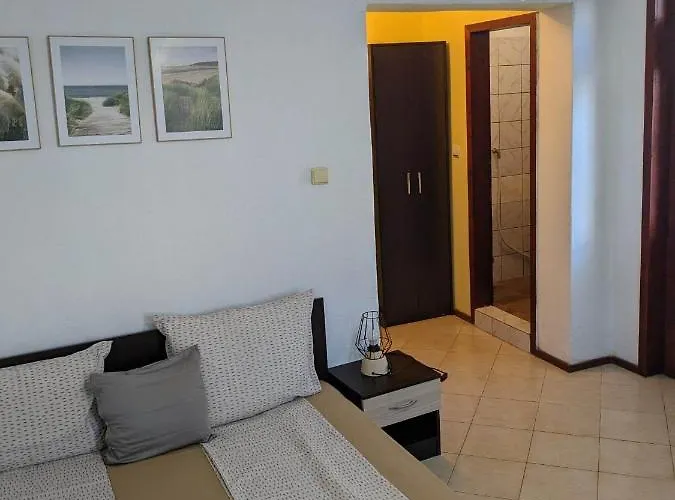 цвета 3* Sinemoretz